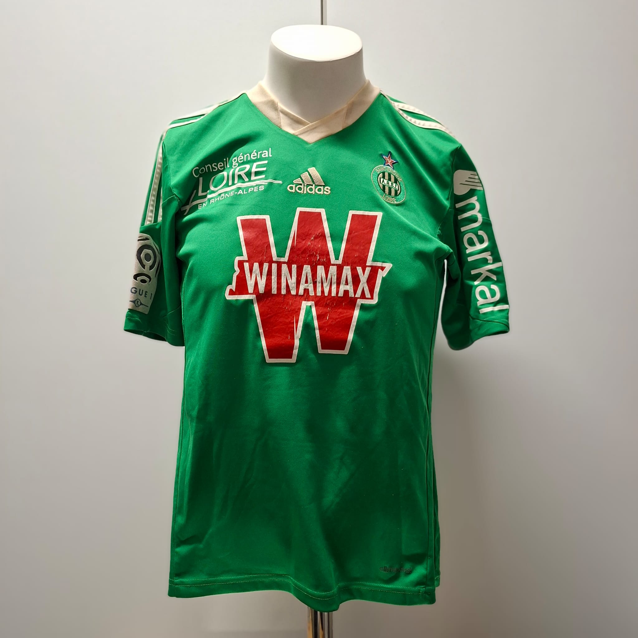 Romain Hamouma – AS Saint-Étienne (2013-2014 Season)