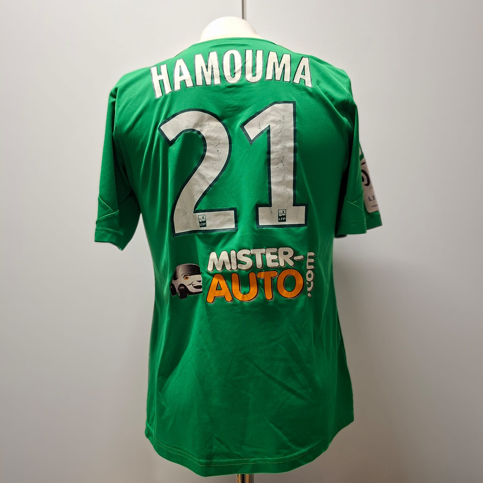 Romain Hamouma – AS Saint-Étienne (2013-2014 Season)
