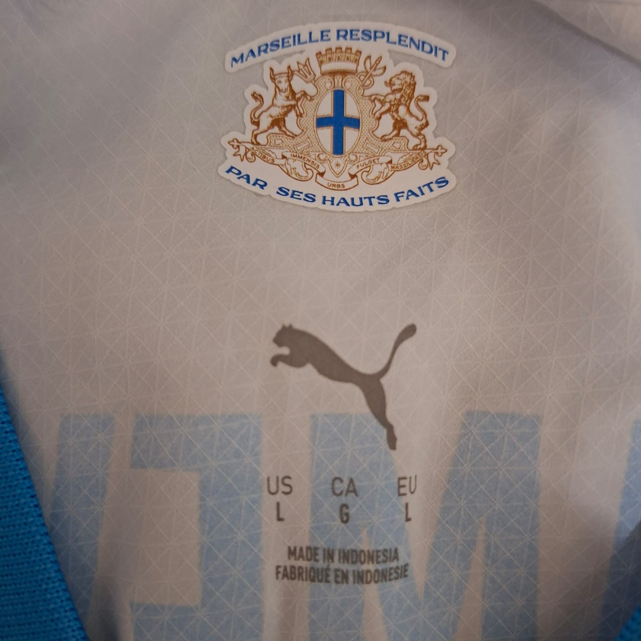 Pierre-Emerick Aubameyang – Olympique de Marseille (Saison 2025-2026)